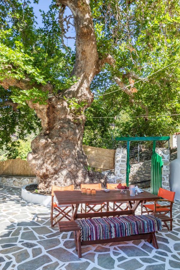 Mertonas Villa Kyra Panagia Exteriér fotografie